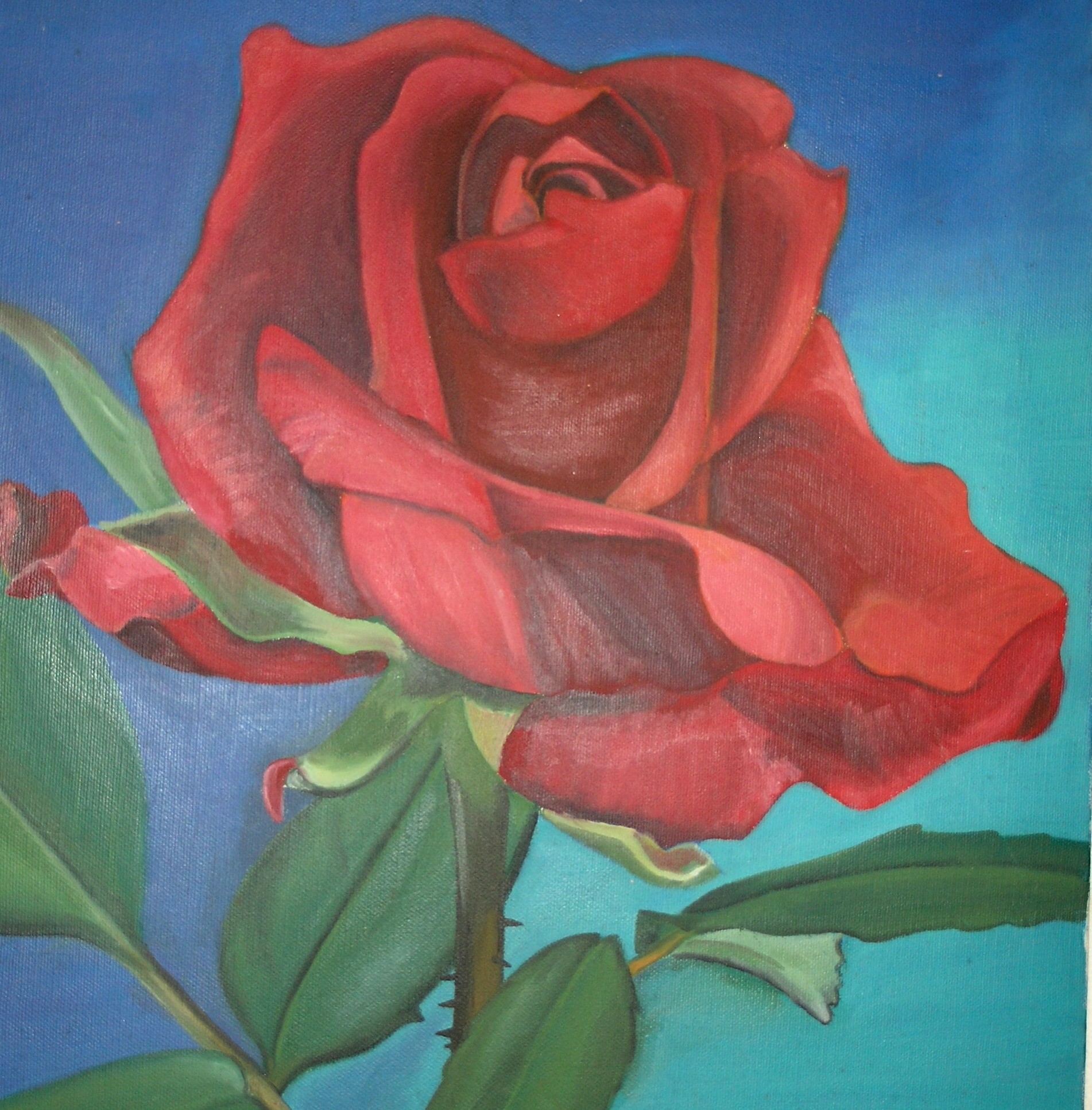 Rose 1a